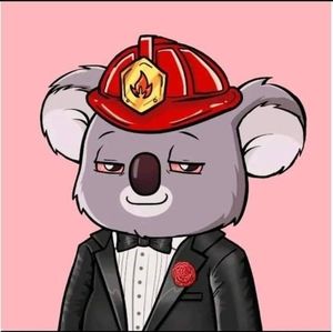 Meet your Posher, Jerramya